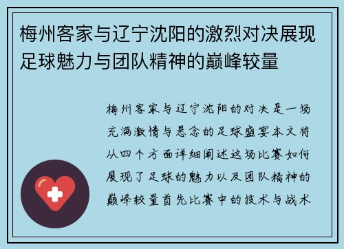 梅州客家与辽宁沈阳的激烈对决展现足球魅力与团队精神的巅峰较量
